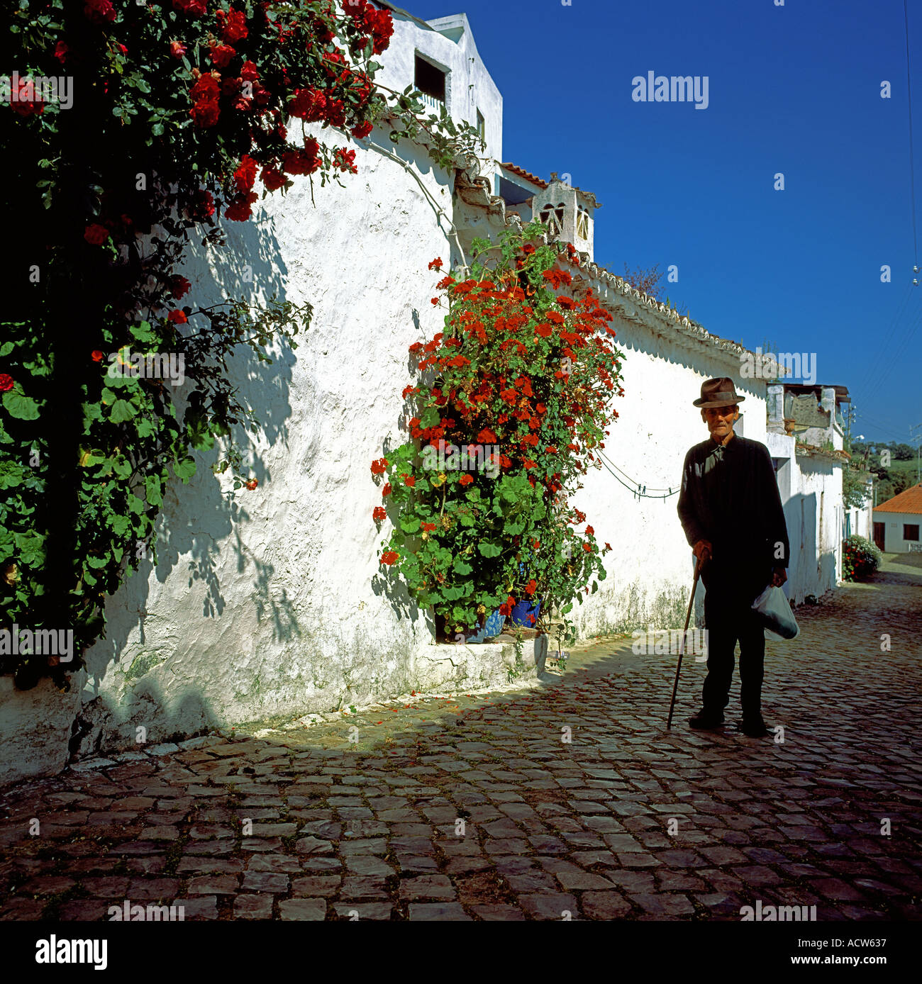 UOMO ANZIANO CHE CAMMINA CON UN BASTONE LUNGO UNA PARETE BIANCA CON FIORI ROSSI IN SALITA, ALTE VILLAGE, ALGARVE, PORTOGALLO, EUROPA Foto Stock