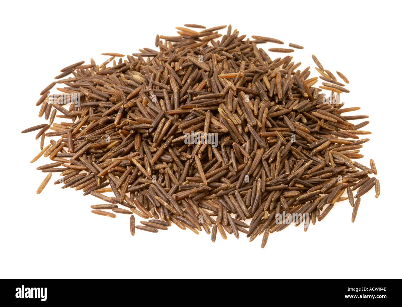 Non naturali pelati riso selvatico dal nord america canada e mississipi delta frutto dell'acqua waterplant impianto Zizania aquatica Foto Stock