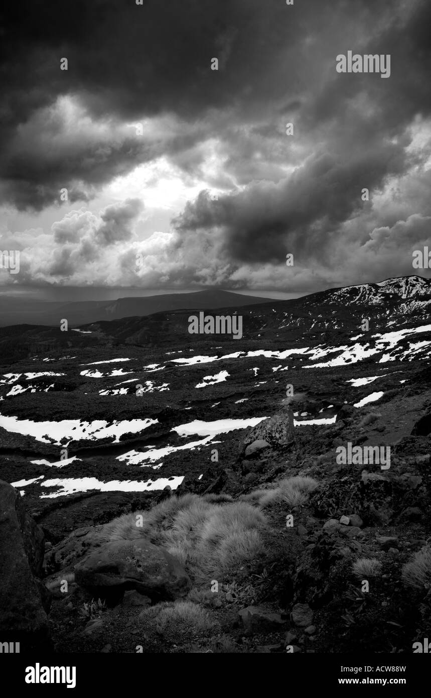 Un bianco e nero vista dal Monte Ruapehu, Nuova Zelanda Foto Stock