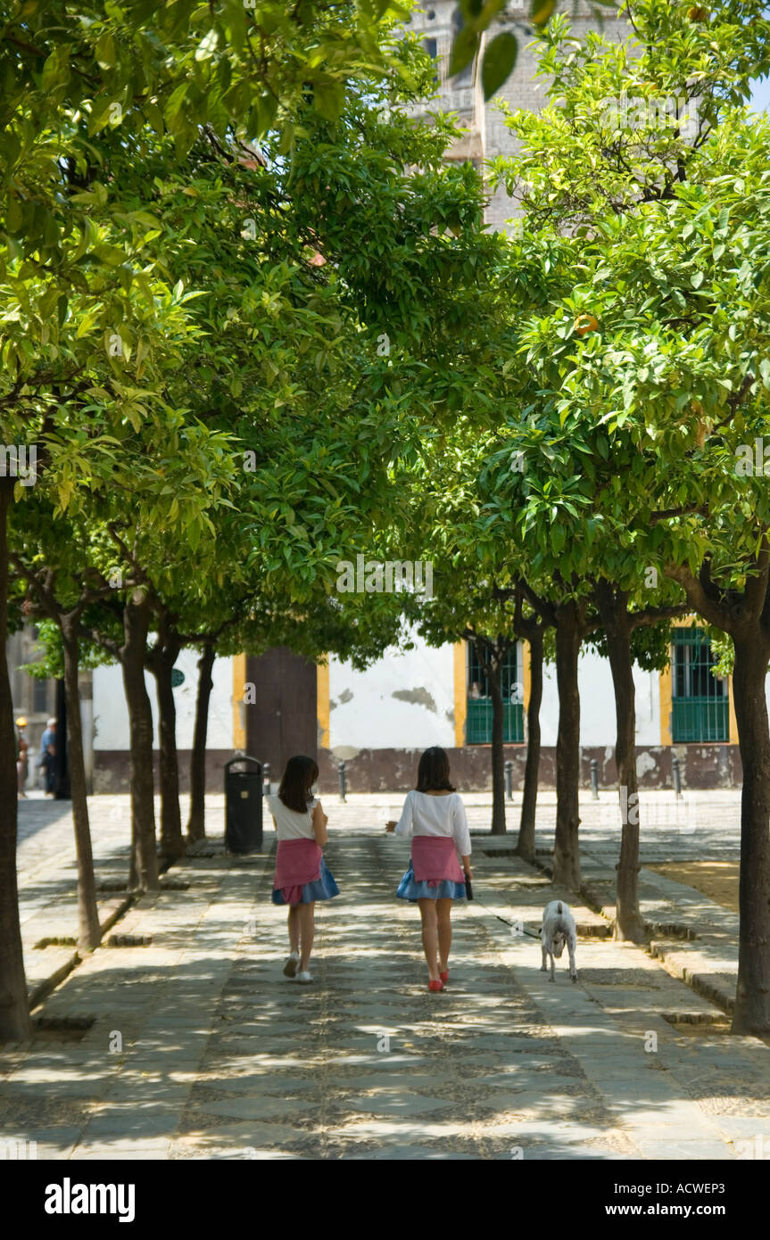 Due gemelle a piedi il loro cane in una fila di alberi di arancio nel Real palazzo di Alcazar Siviglia Andalusia Foto Stock