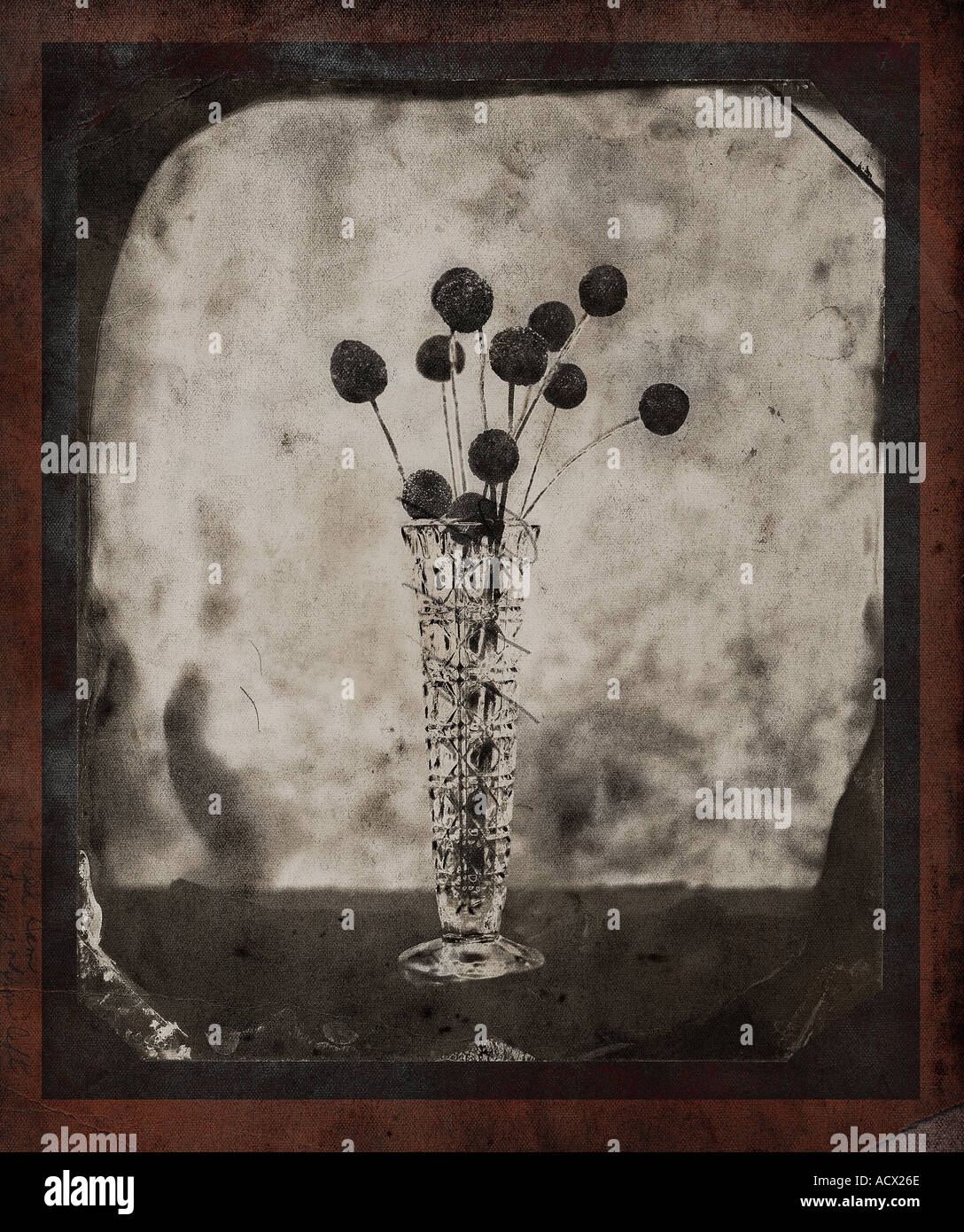 Fotografia artistica di fiori in vaso Foto Stock