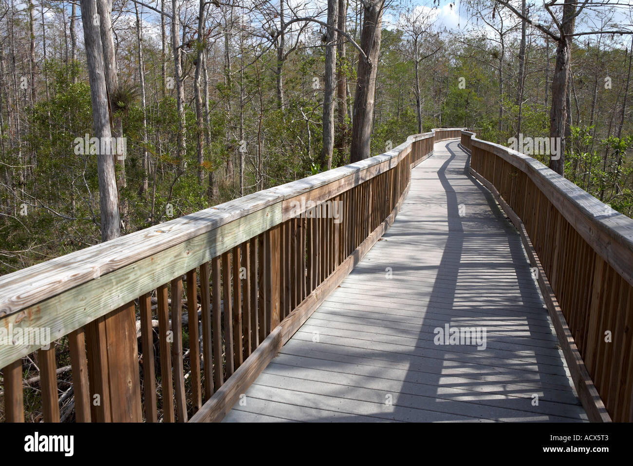 Sollevate passerella in legno kirby storter strada park florida usa stati uniti Foto Stock