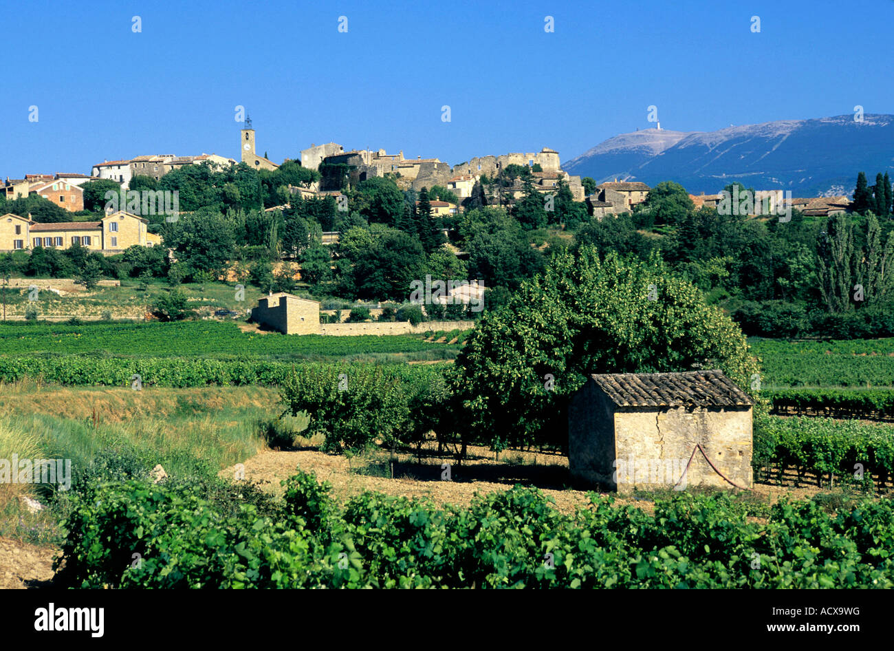 Villaggio di Faucon . Cotes du Rhone.Francia Foto Stock