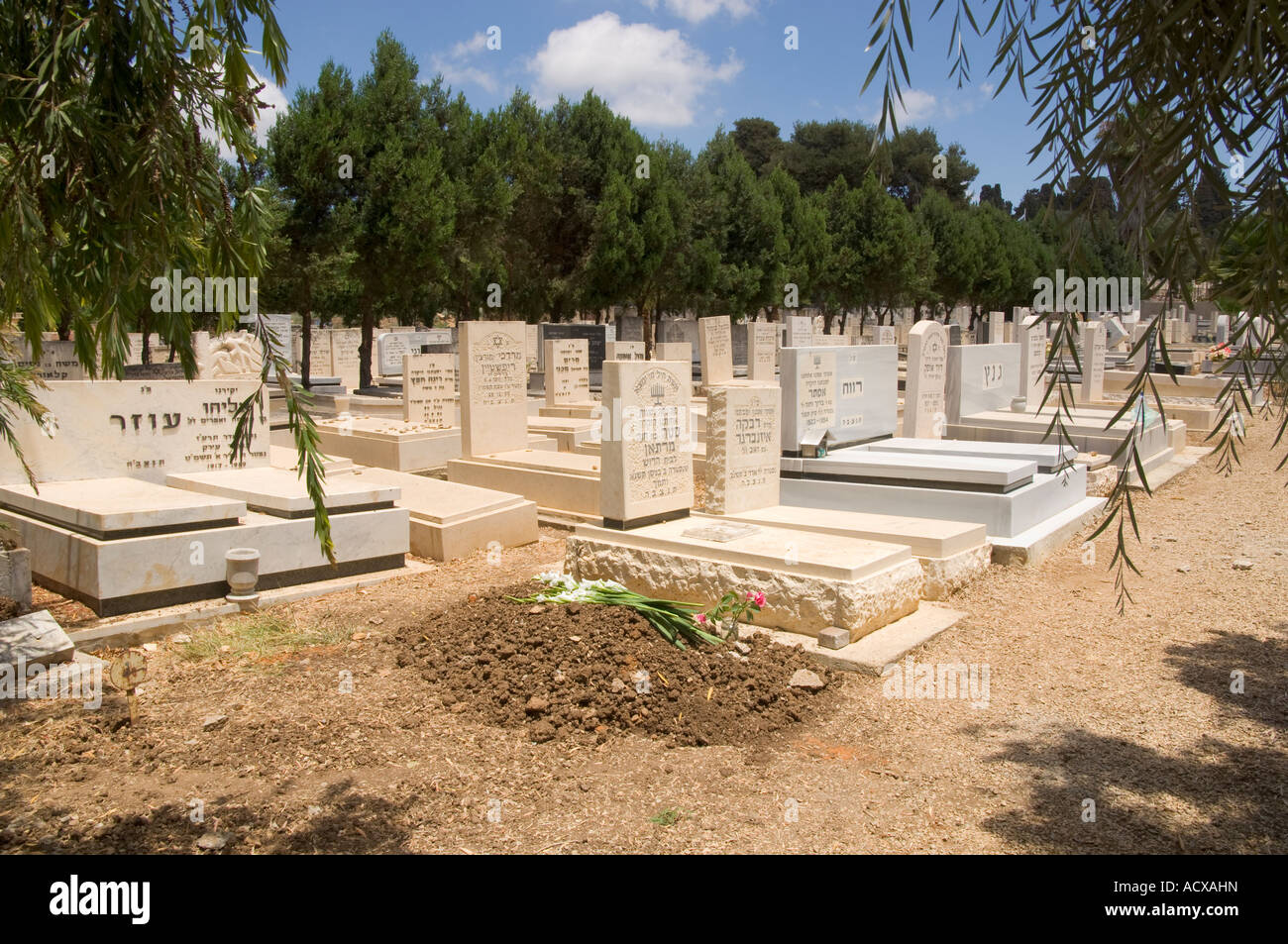 Israele Zikhron Yaaqov cimitero pubblico vista generale con un fresco e grave in frgd e lapidi bianco in bkgd Foto Stock