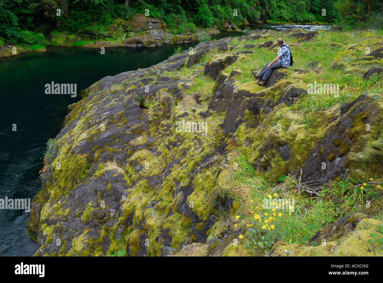 Tourist godendo di un riposo tranquillo seduti sul muschio coperto roccia del Nord Santiam mulino sul fiume città Oregon USA Foto Stock