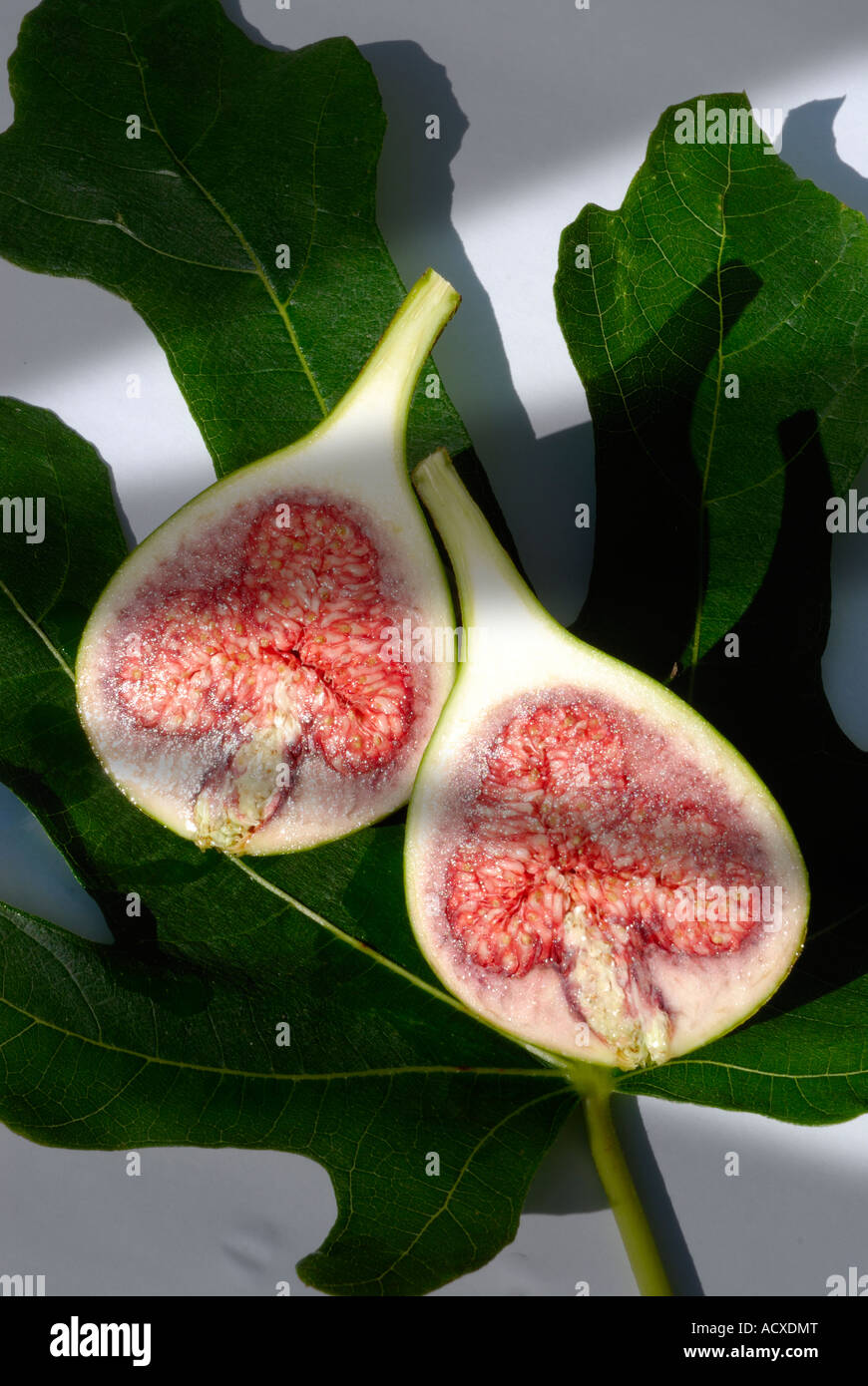 Latino, Ficus carica. Comune, comune Fig Tree, Marrone Turchia Fig. Un frutto- fig - tagliato a metà contro uno sfondo di una foglia Foto Stock