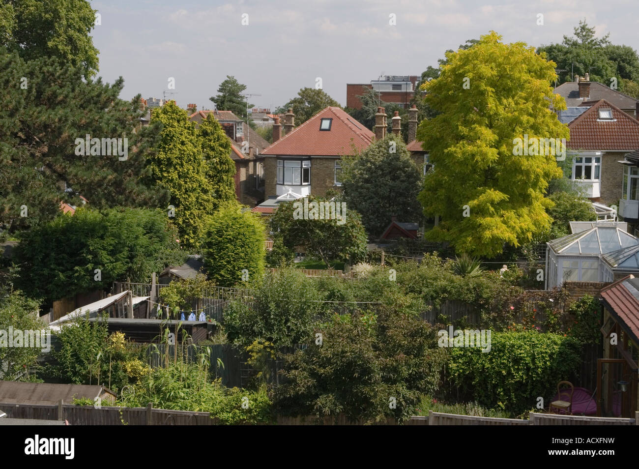 Giardini sul retro nel Regno Unito, collegati a case edoardiane della classe media. Giardini verdi, alberi. Londra Inghilterra, anni '2007 2000, HOMER SYKES Foto Stock