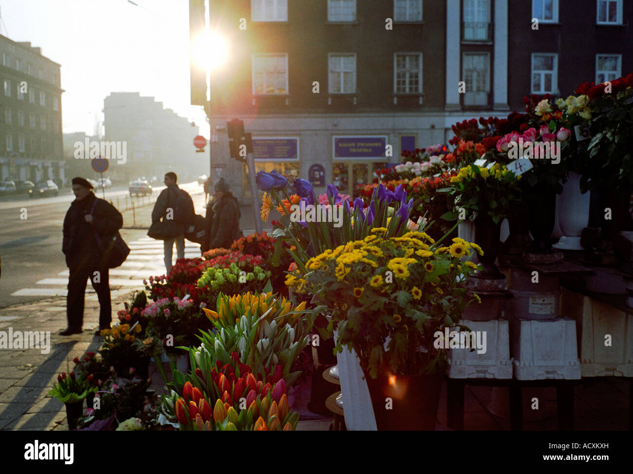 Un fiore di stand in una strada, Poznan, Polonia Foto Stock