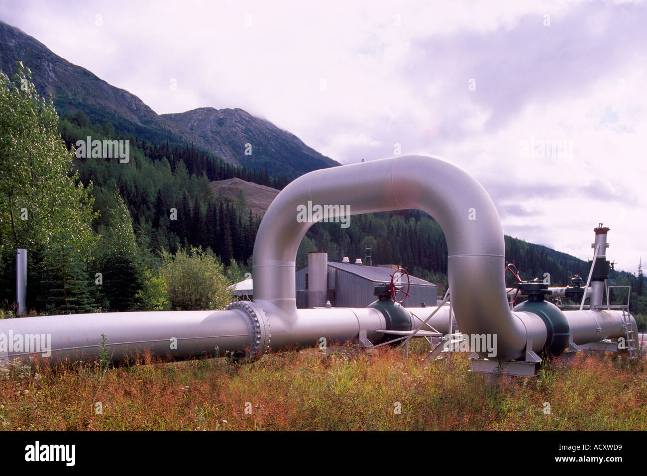 Una conduttura di gas naturale nel Nord della Columbia britannica in Canada Foto Stock