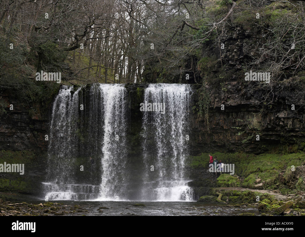 Sgwd Yr Eira cascata Afon Hepste Brecon Beacons Powys Pontneddfechan Galles Cymru Foto Stock