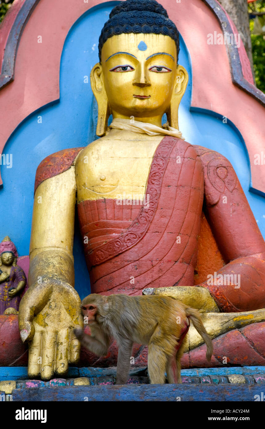 Statua di Buddha e monkey.Scala di Swayambhunath Stupa.Kathmandu.Nepal Foto Stock