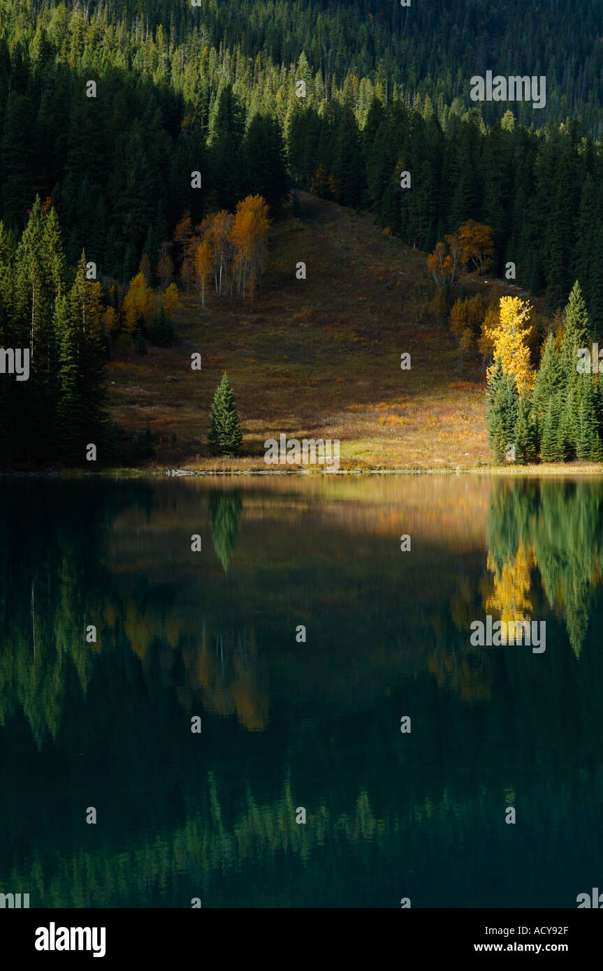 Albero del sole sul bosco di larici e pini al Lago Smeraldo Vallata di Yoho Rockies canadesi della Columbia britannica in Canada Foto Stock