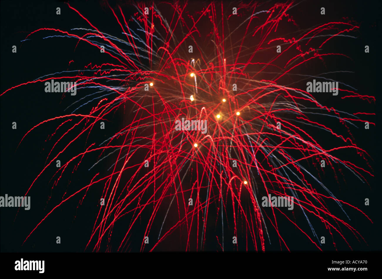 Fuochi d'artificio di notte cielo scuro Foto Stock