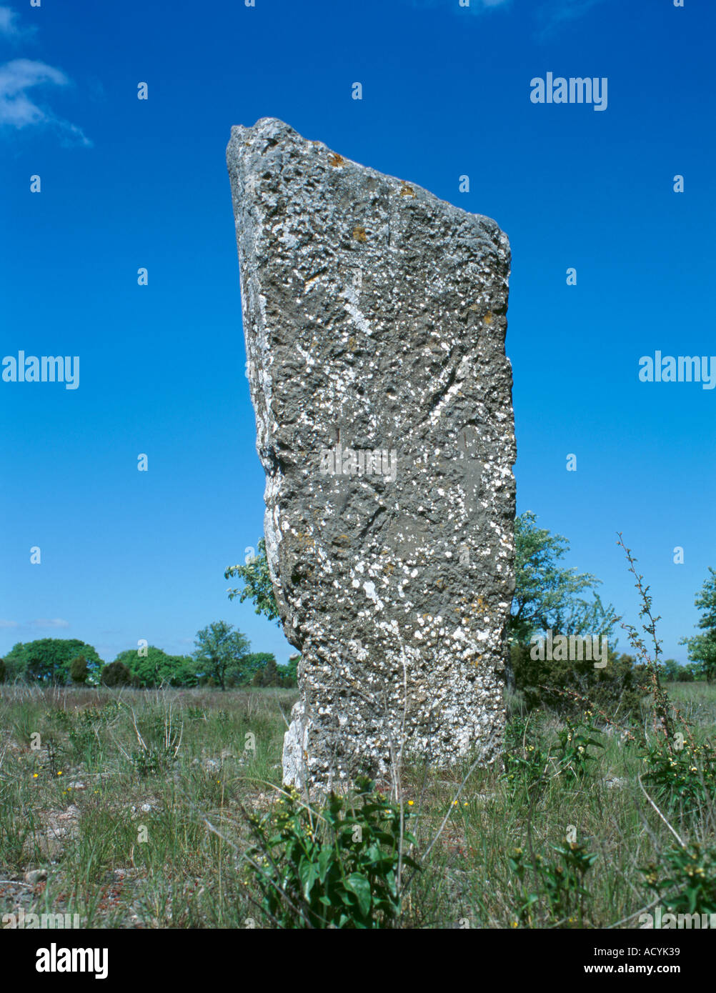 Pietra in piedi, forse il palo di un'ambientazione navale, Karums Alvar resti preistorici, Öland, Svezia. Foto Stock