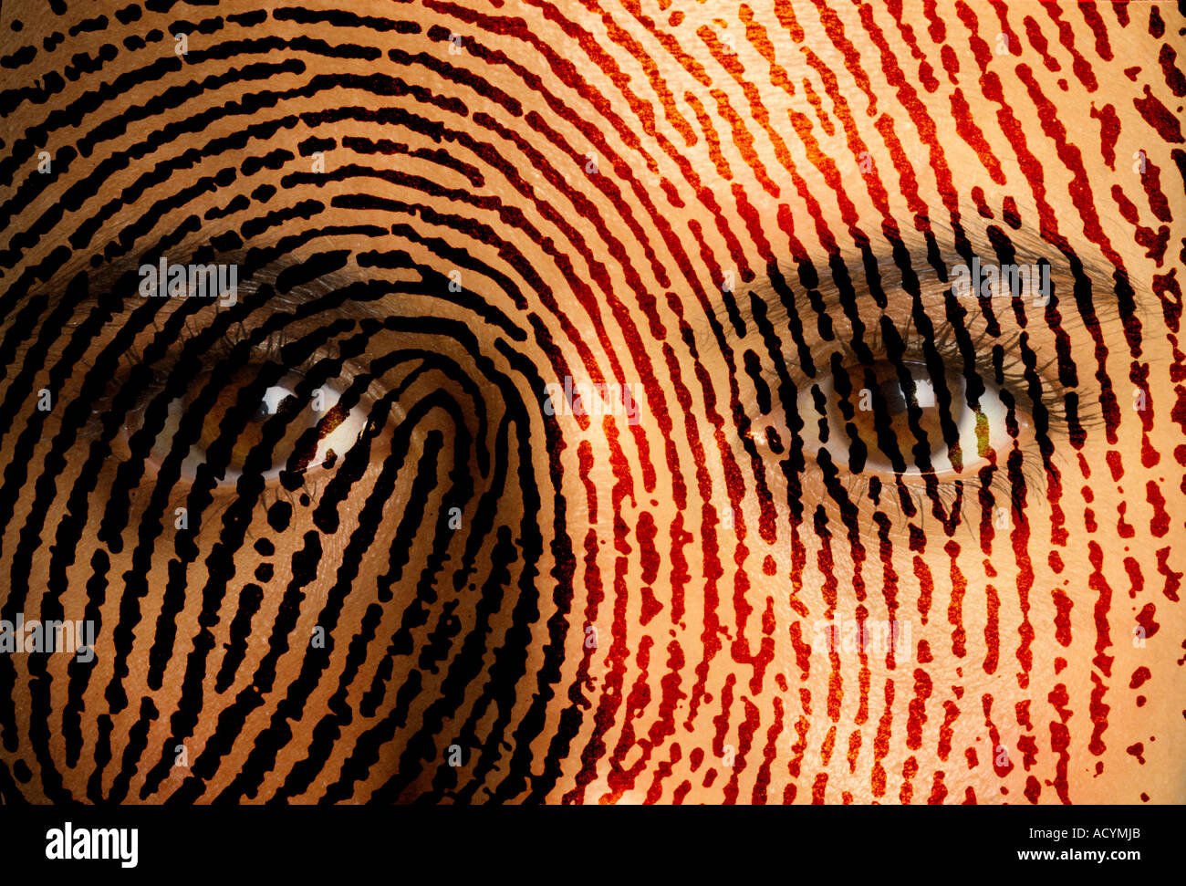 Vista ingrandita di finger print miscelato su gli occhi del giovane donna Foto Stock