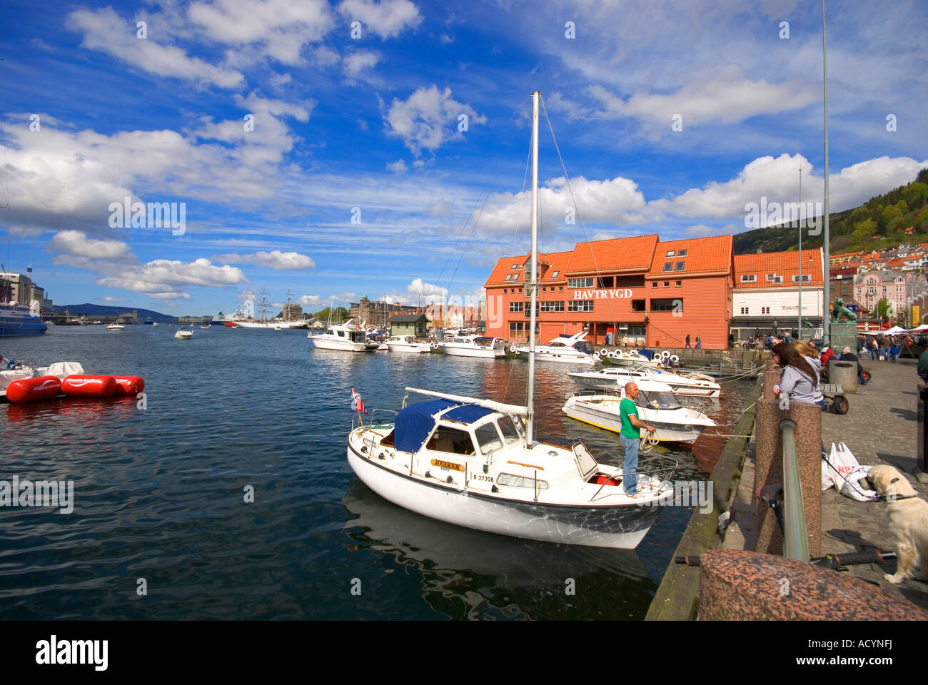 Una barca a vela presso il molo nel porto da piazza Fisketorget a Bergen, Norvegia. Foto Stock