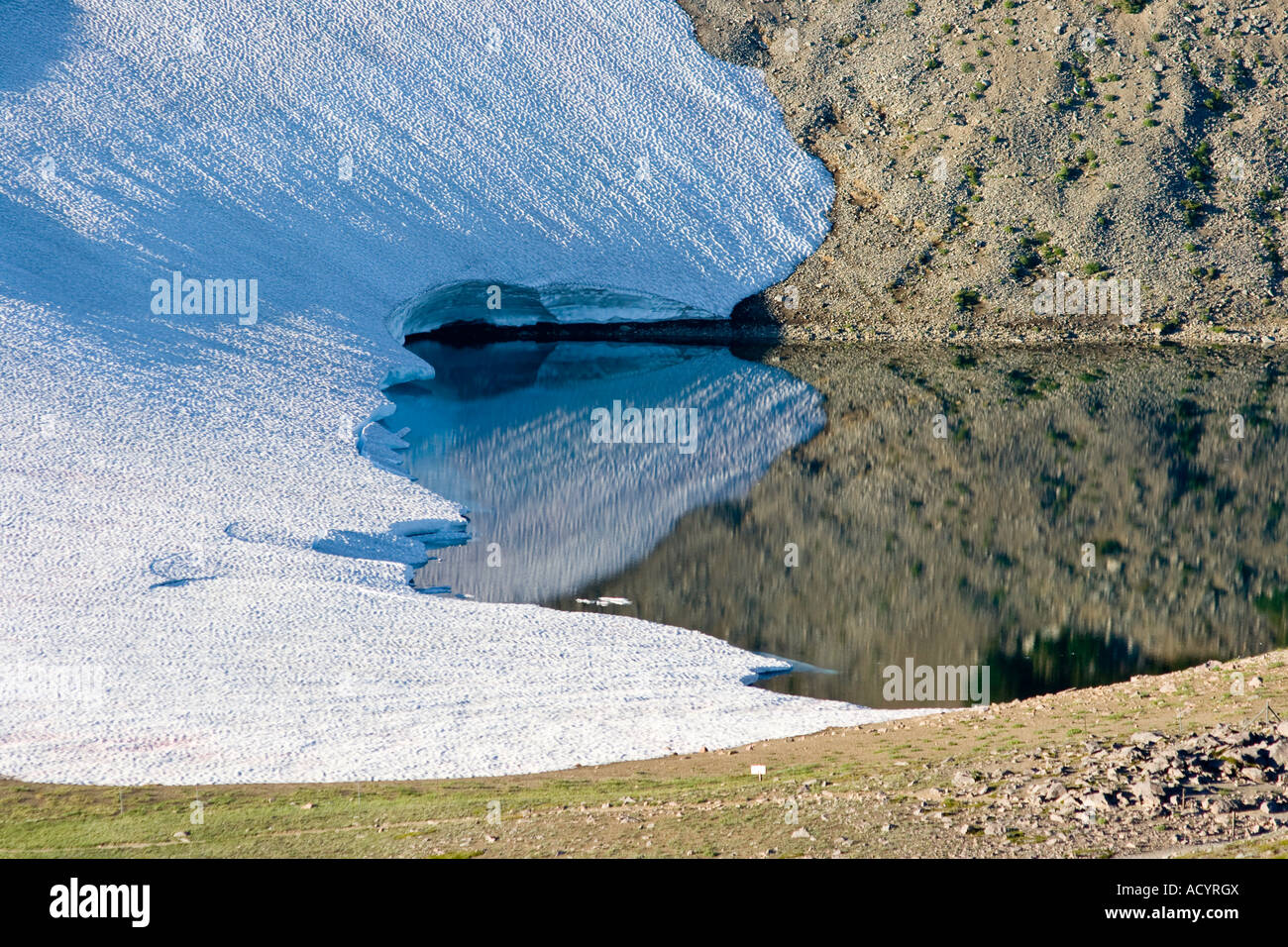 Lago ghiacciato di Mount Rainier Washington Stati Uniti d'America verso la fine di luglio 2007 Foto Stock
