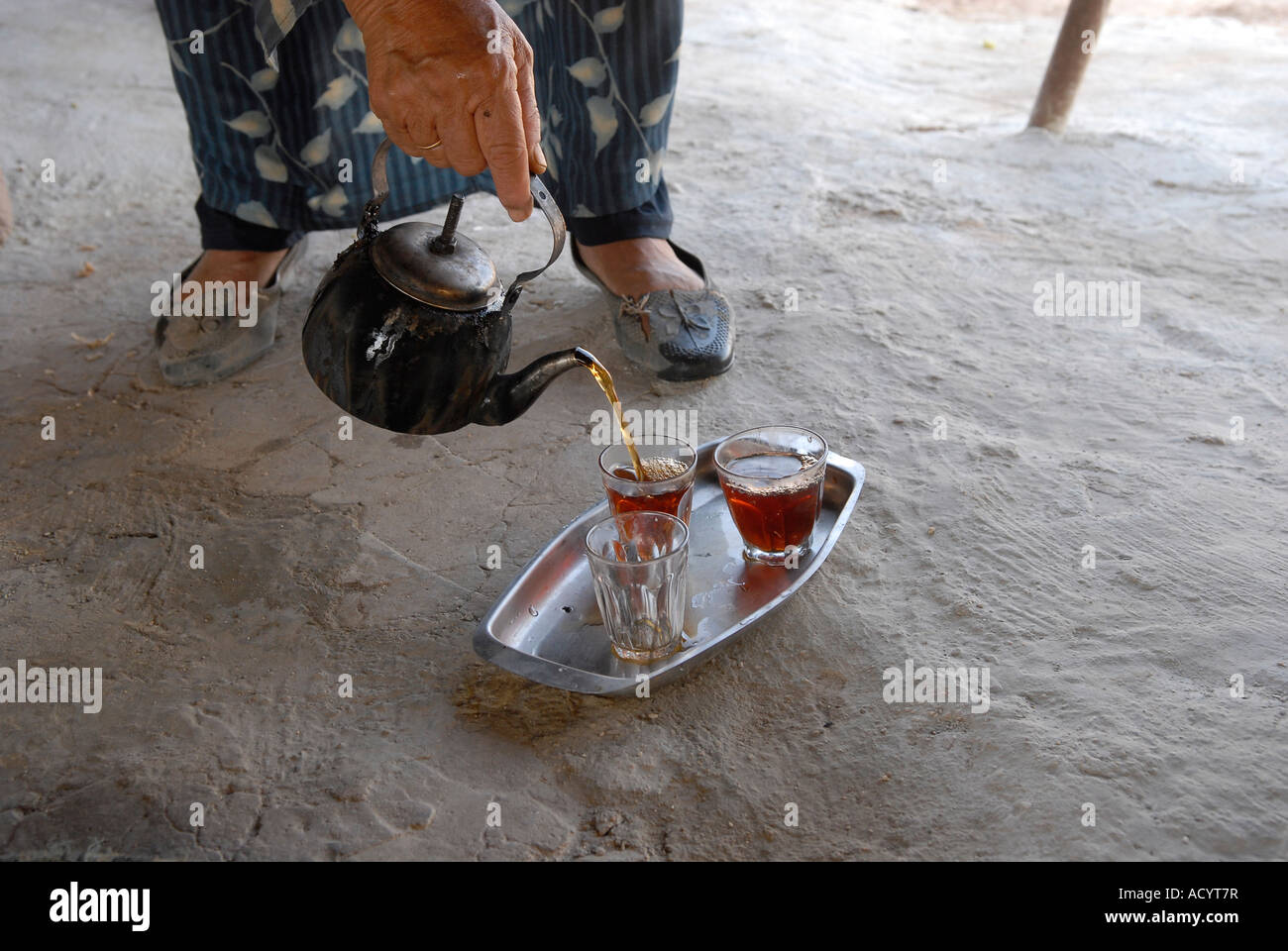 Donna palestinese che serve il tè in Cisgiordania Israele Foto Stock