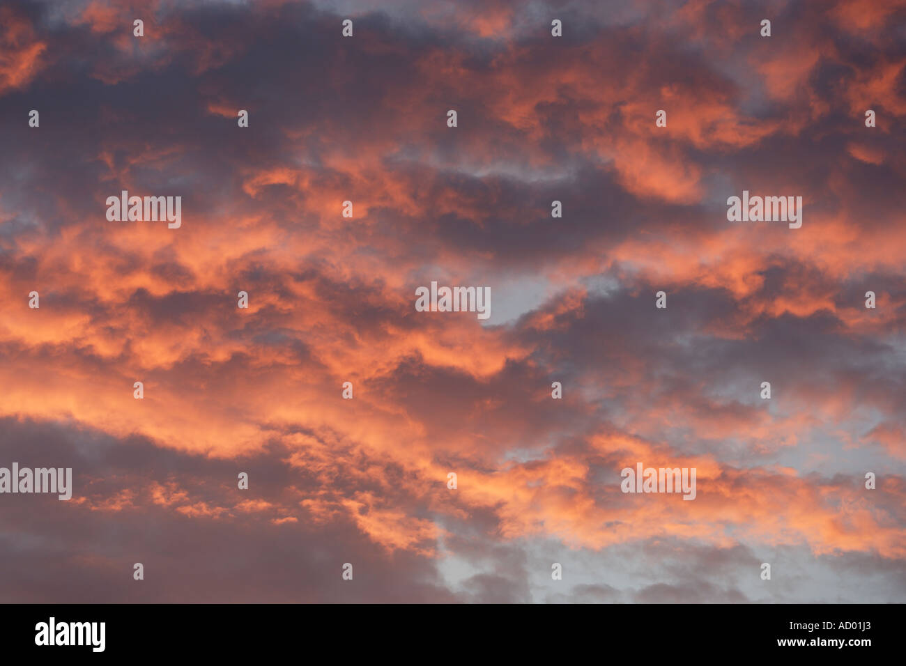 Red Sky di notte pastori delizia Foto Stock