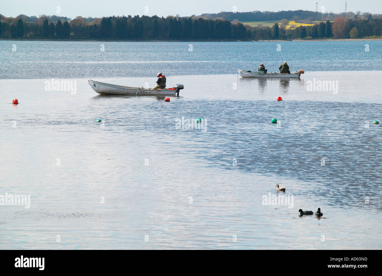 Pesca sul serbatoio hanningfield Foto Stock