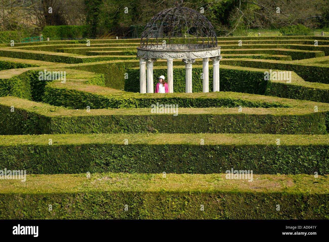 Hedge Puzzle, Dedalo, Symonds Yat, Wye Valley, Inghilterra. Foto Stock