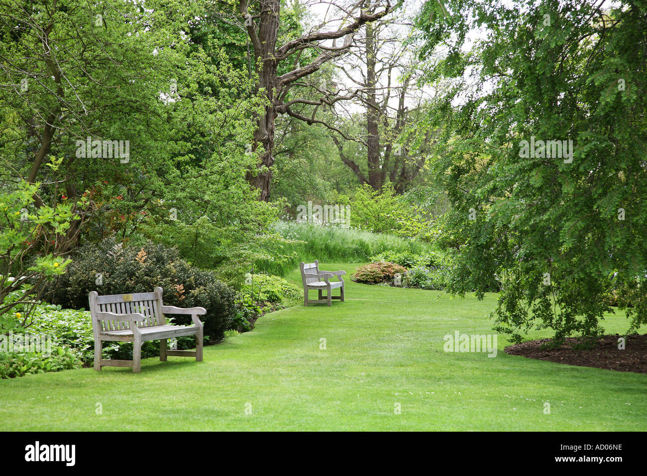 Panche in una zona di Kew Gardens a Londra la molla Foto Stock