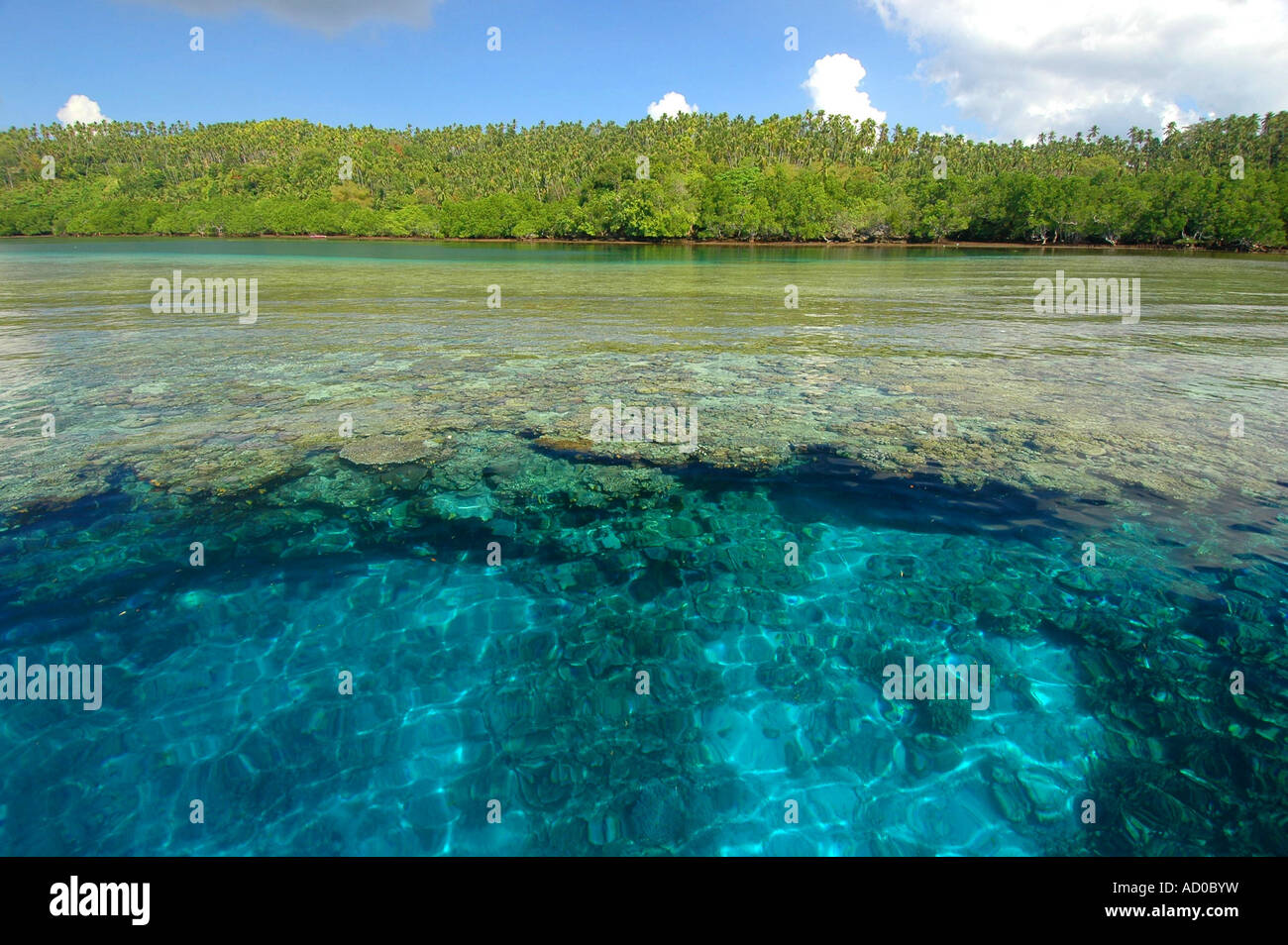 Siladen Indonesia, spiaggia tropicale, paradise, acque calme, relax, cielo blu, l'acqua turchese,Coral reef, reef tropicali, isola Foto Stock