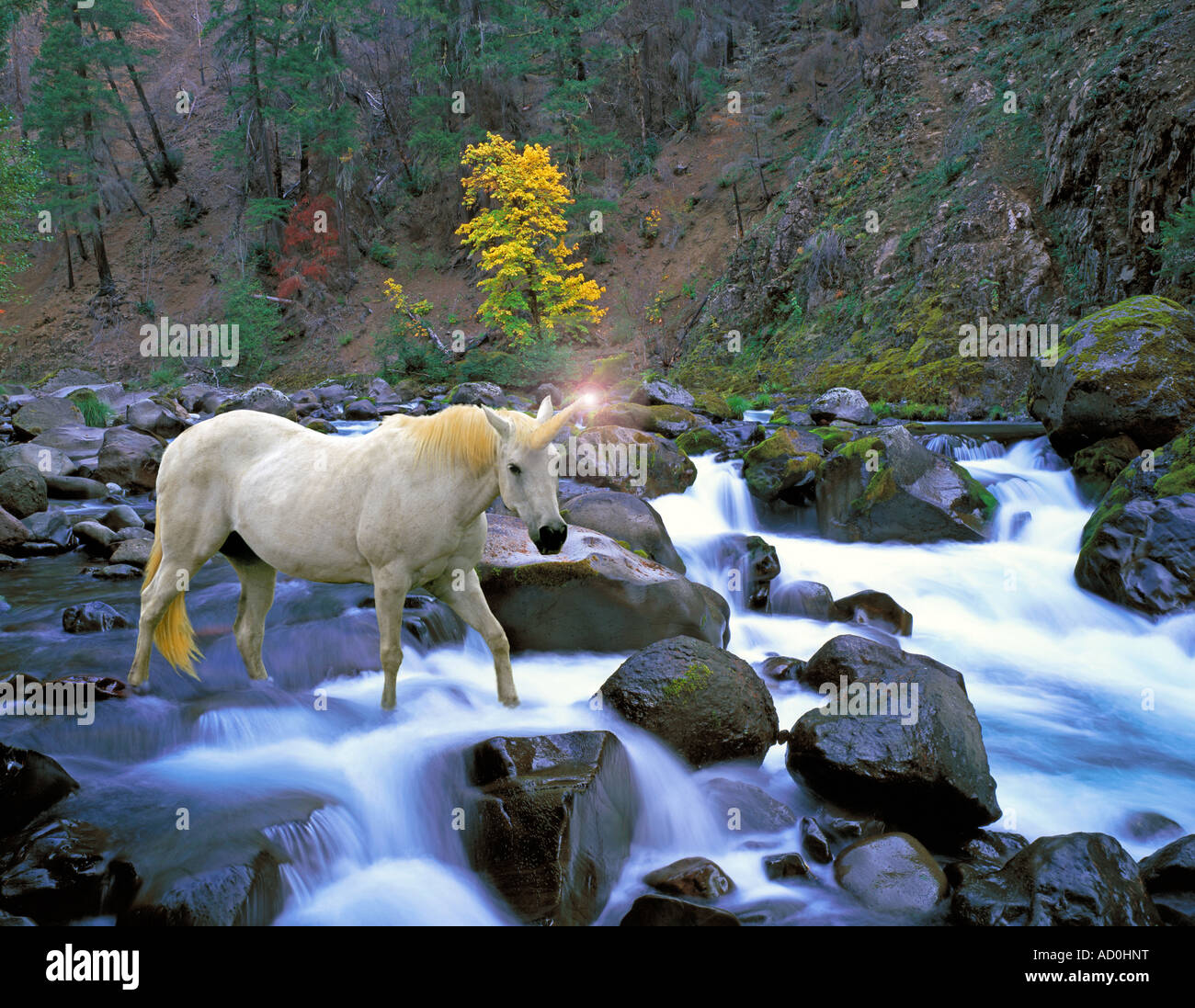L'unicorno è un animale leggendario descritto nel corso della storia e prima come una bestia simile a un cavallo con un solo corno che proietta dalla testa. Foto Stock