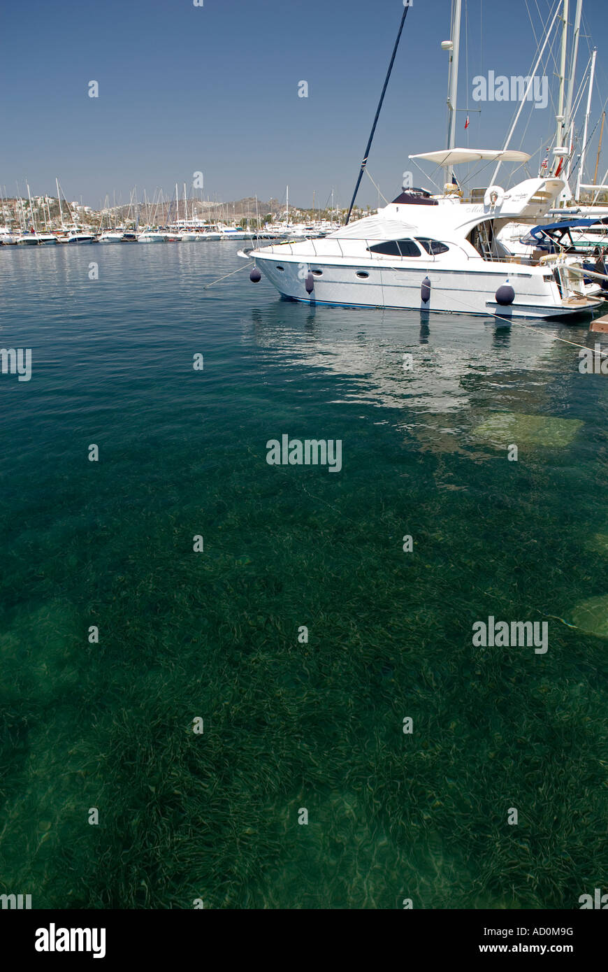 L'acqua chiara in Porto Bodrum Yalikavak Marina, Turchia. Foto Stock