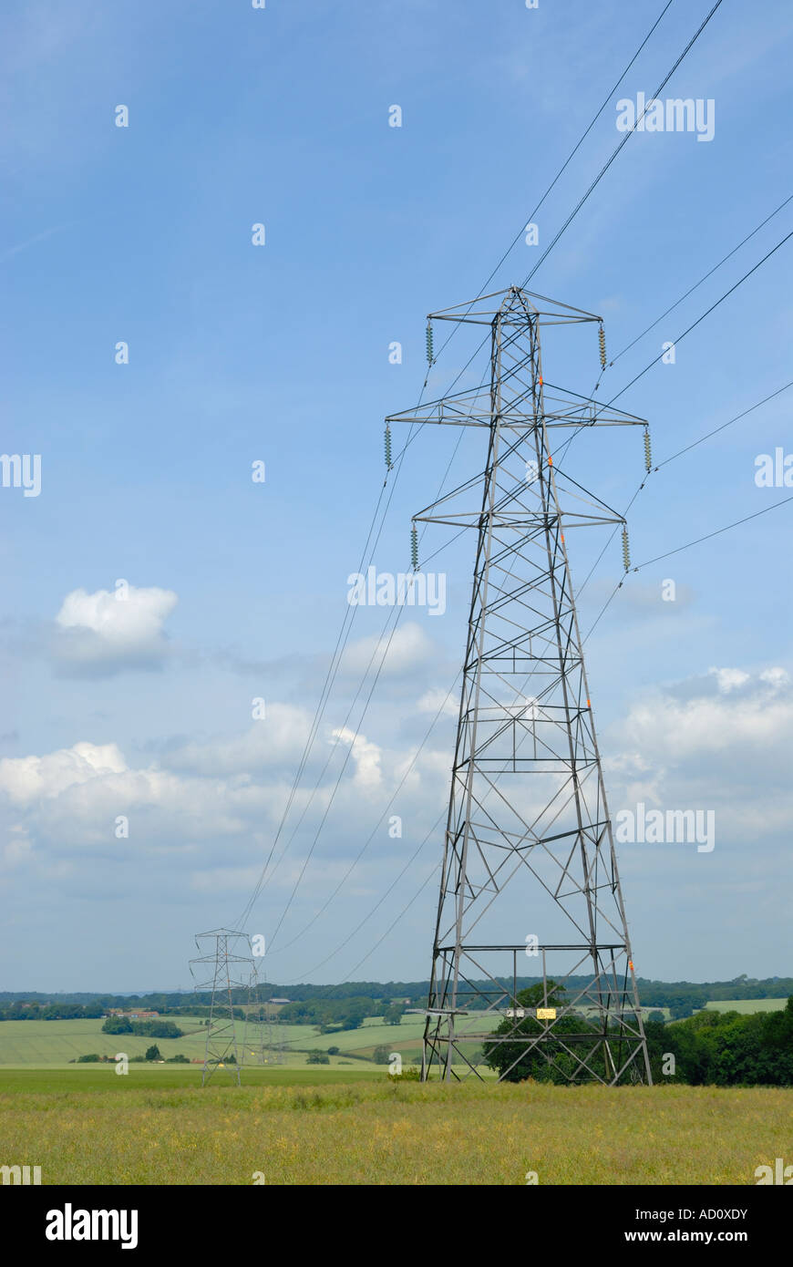 Cavo di alimentazione pilone portante nella campagna inglese Foto Stock