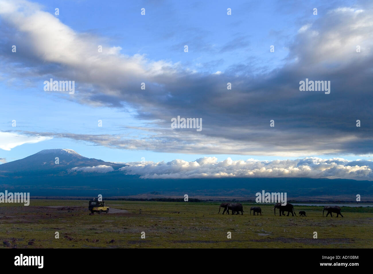 I turisti in safari veicolo guardare gli elefanti camminare in Amboseli National Park con il tramonto sul Monte Kilimanjaro dietro il Kenya Est Foto Stock