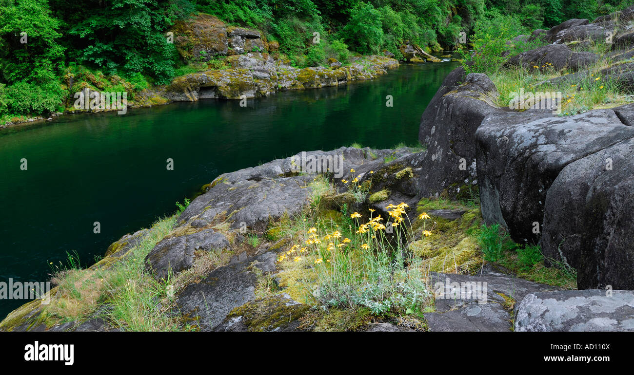 Panorama del Nord Santiam fiume che scorre intorno a moss coperto ghiacciaio rocce erose Mill City Oregon USA Foto Stock