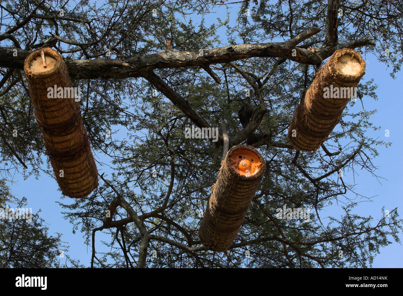 Etiopia, beahives tradizionali dei popoli Tsemay Foto Stock