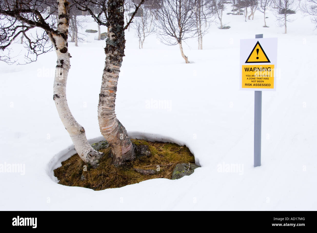 Effettuare lo spoofing di segno di pericolo nella foresta Foto Stock