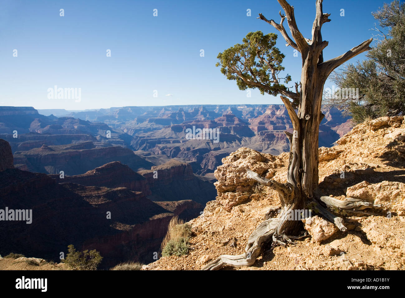 Stati Uniti d'America Arizona Parco Nazionale del Grand Canyon Foto Stock