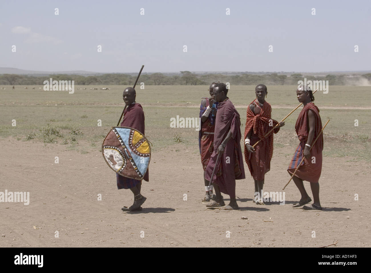 Africa Tanzania persone native tribù Masai uomo guerriero scudo lancia Foto Stock
