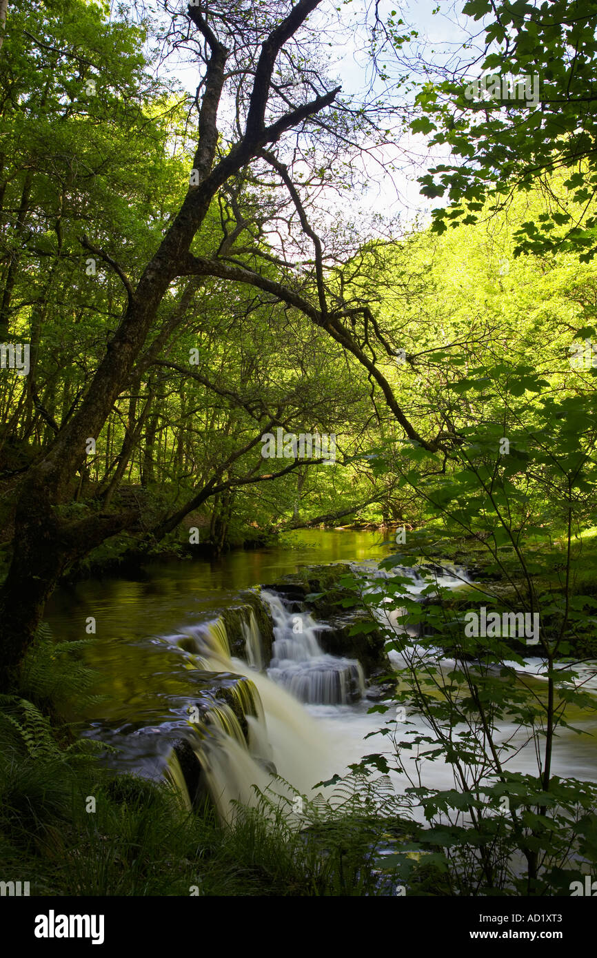 Cascate, Pontneddfechan, Neath Valley, Wales, Regno Unito Foto Stock