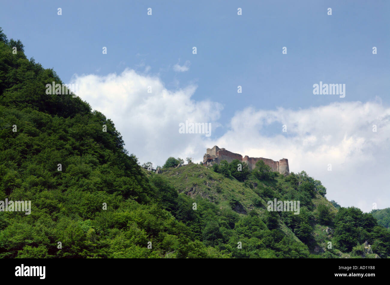 Il castello di Poienari si trova nei pressi del villaggio di Curtea de Arges circa 2 5 ore di viaggio in treno da Bucharest Romania Europa Foto Stock
