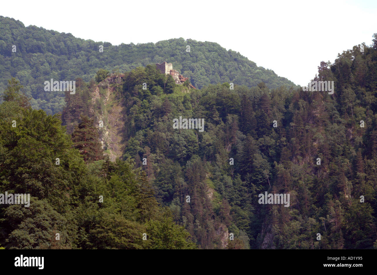 Il castello di Poienari si trova nei pressi del villaggio di Curtea de Arges circa 2 5 ore di viaggio in treno da Bucharest Romania Europa Foto Stock