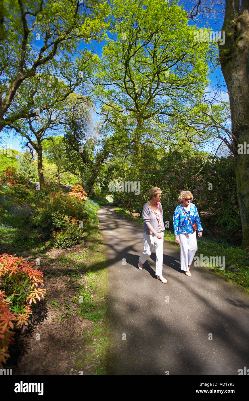 Persone che camminano in Clyne giardini, nella città di Swansea, Wales, Regno Unito Foto Stock