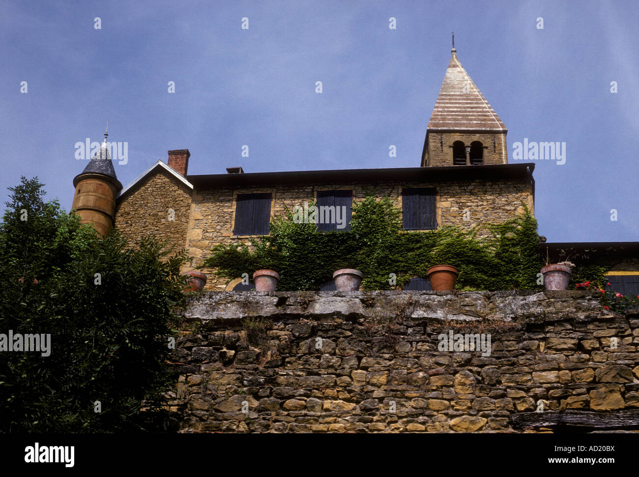 Chateau Chatillon d'Azergues Rhone-Alpes Francia Europa Foto Stock