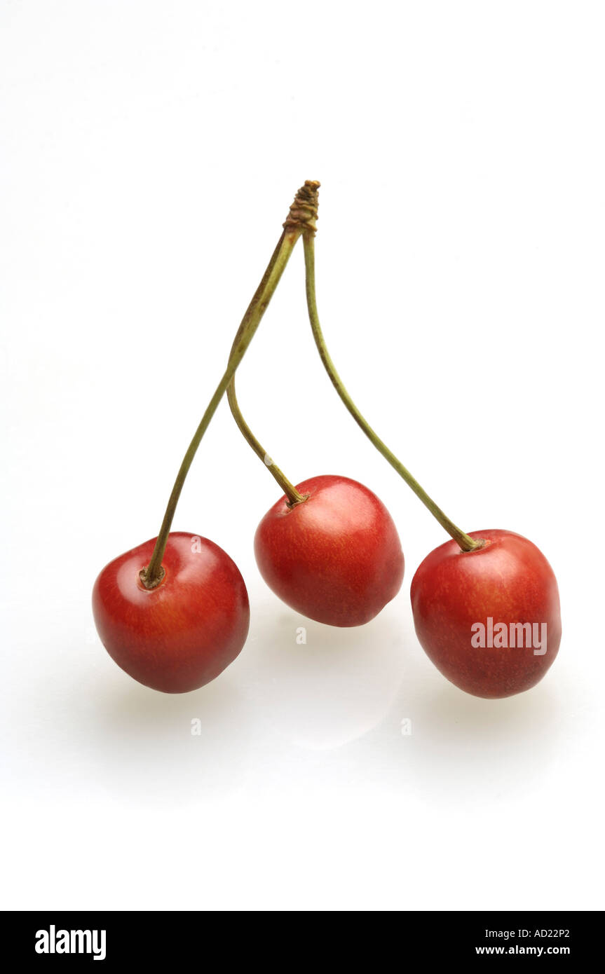 HMA71730 tre colore rosso ciliegia frutta alimentare su sfondo bianco Foto Stock