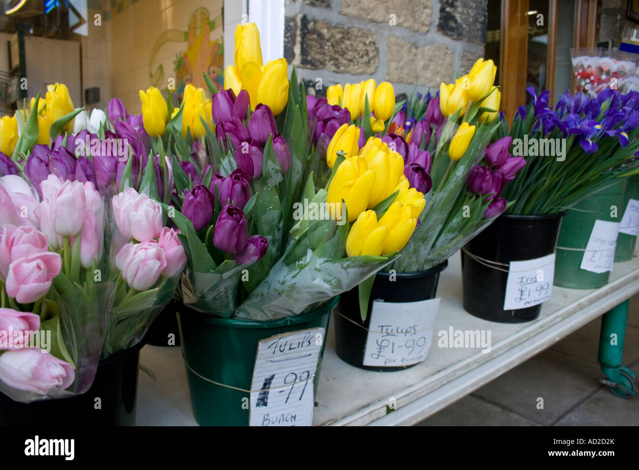 Tulipani e Iris in vendita al di fuori fruttivendolo Foto Stock