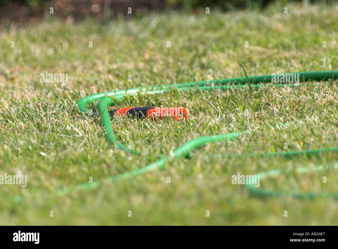 Tubo flessibile sull'erba come un serpente Foto Stock