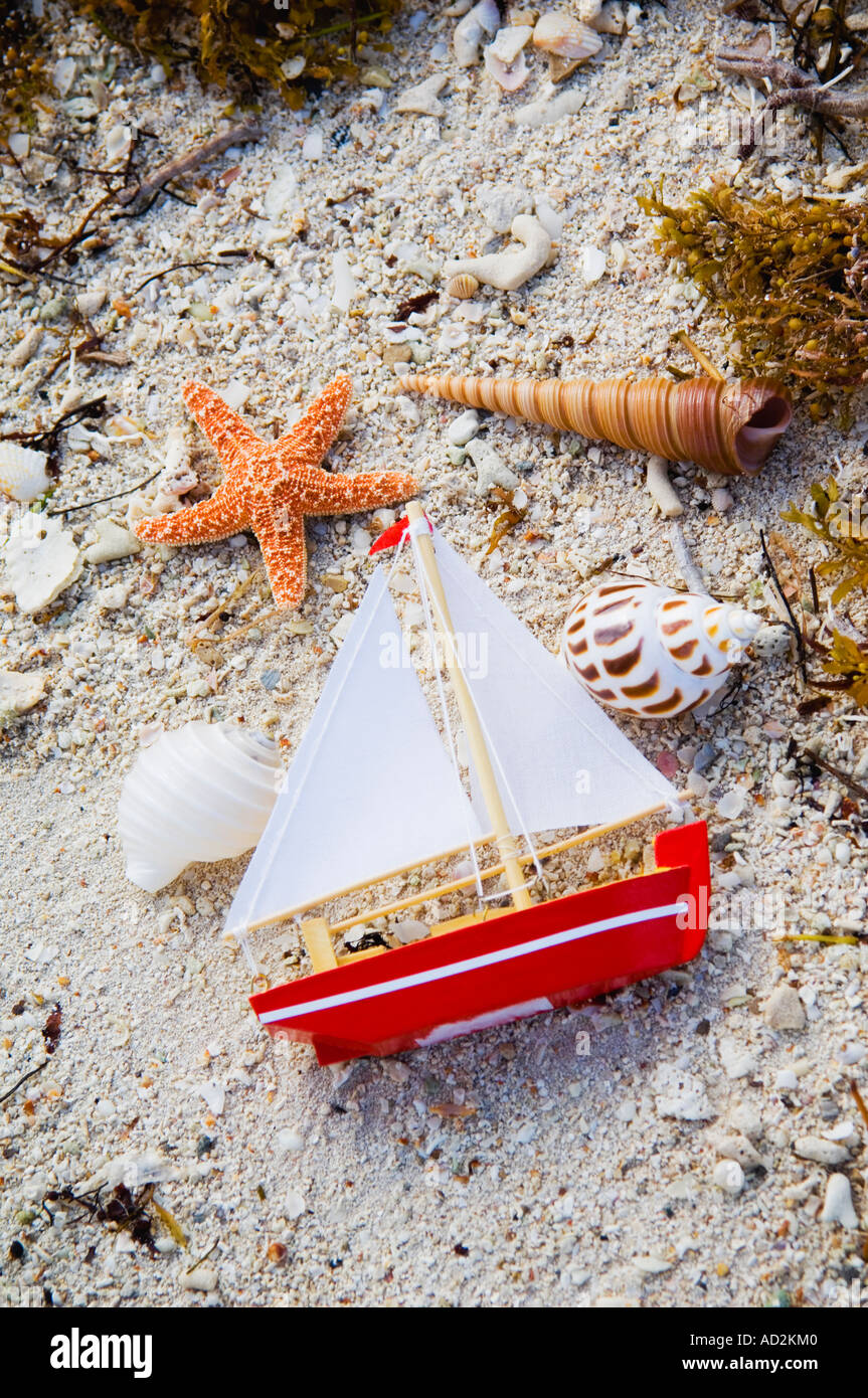 Toy in barca a vela e conchiglie sulla sabbia Foto Stock