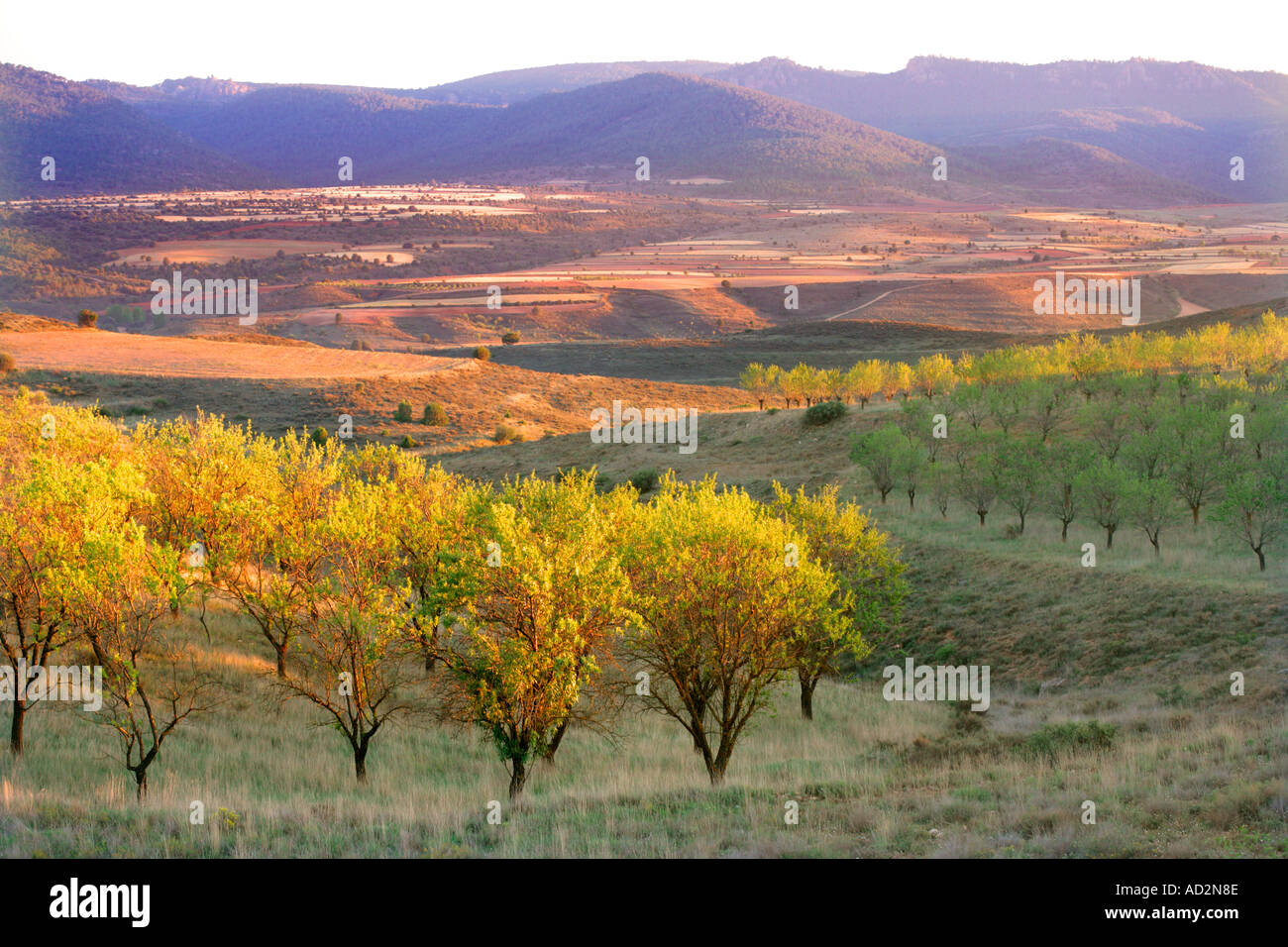 Navarra Spagna Foto Stock