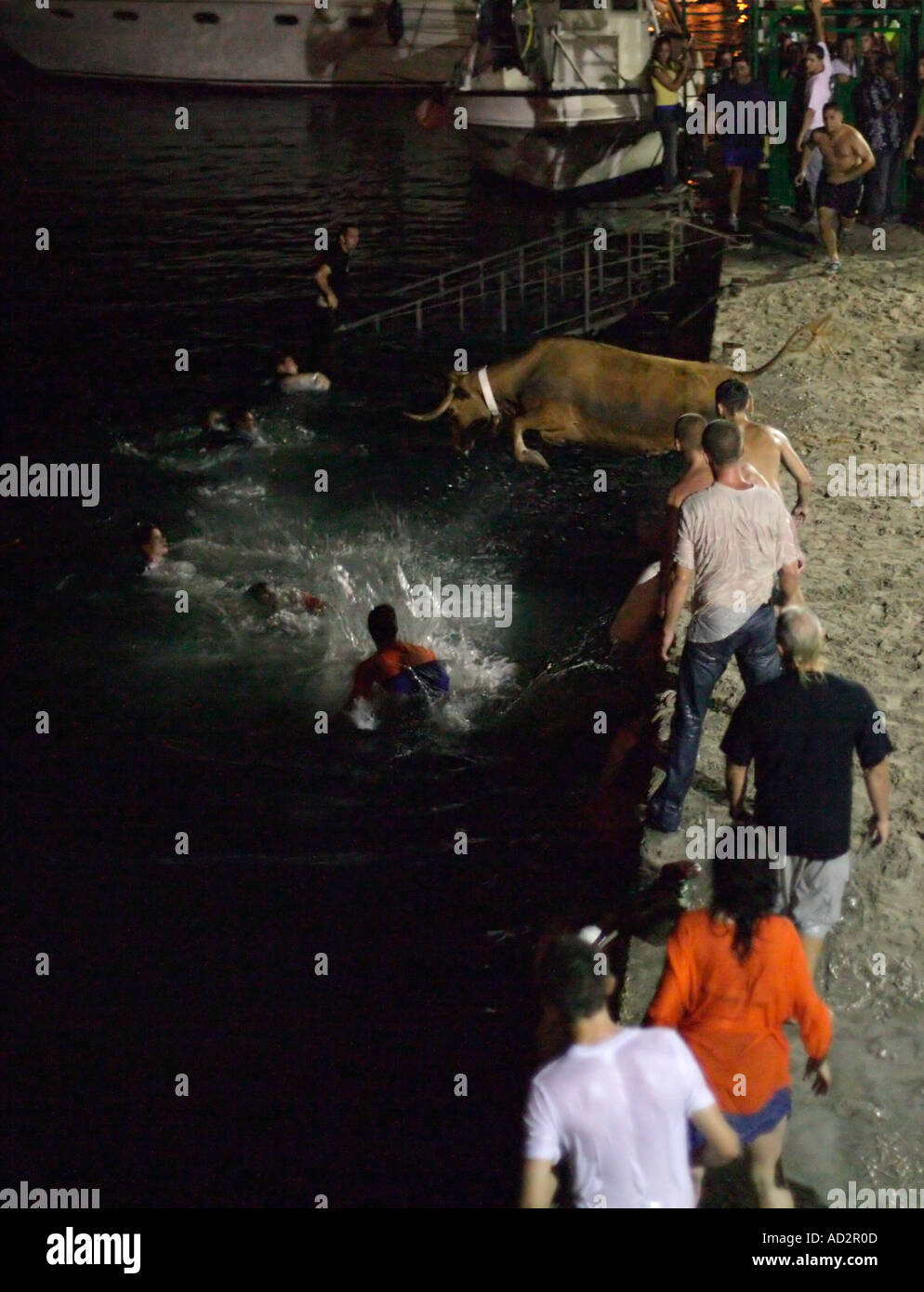 Bull saltando in acqua con nuotatori Moraira Spagna Foto Stock