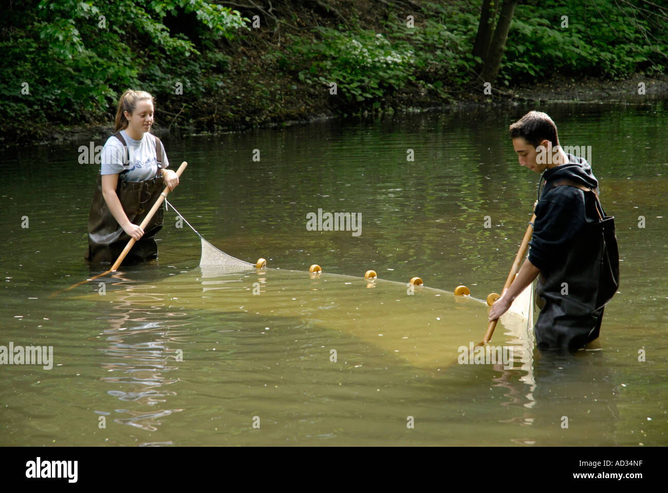 Ragazzo adolescente e una ragazza utilizzando seine net per il campionamento delle catture di pesci di fiume Foto Stock