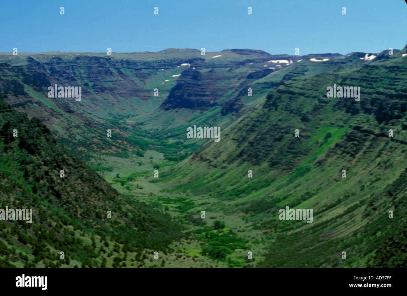 Ecosistema scolpito Glacially Steens Mountain a forma di U grande gola indiano Foto Stock