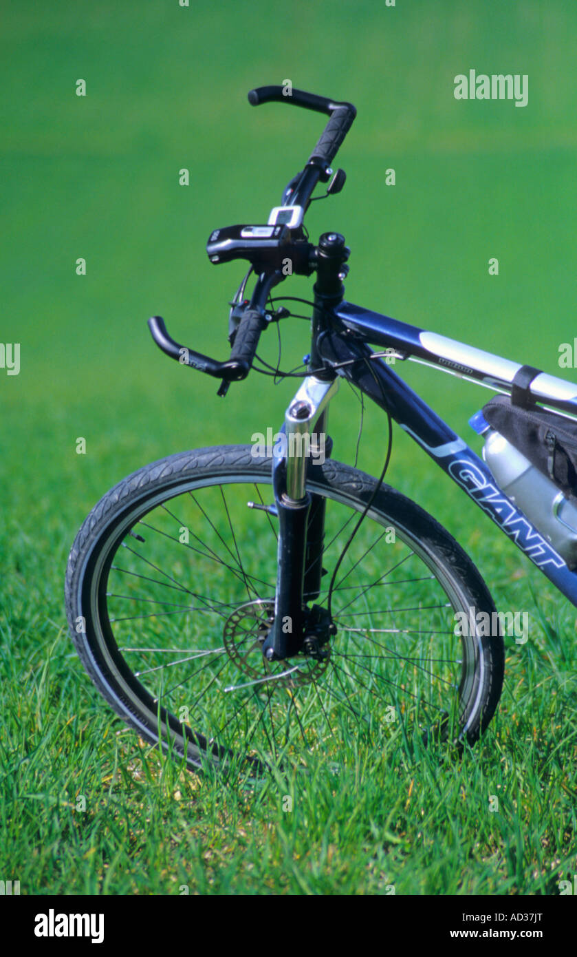 Noleggio bici sull'erba verde Foto Stock